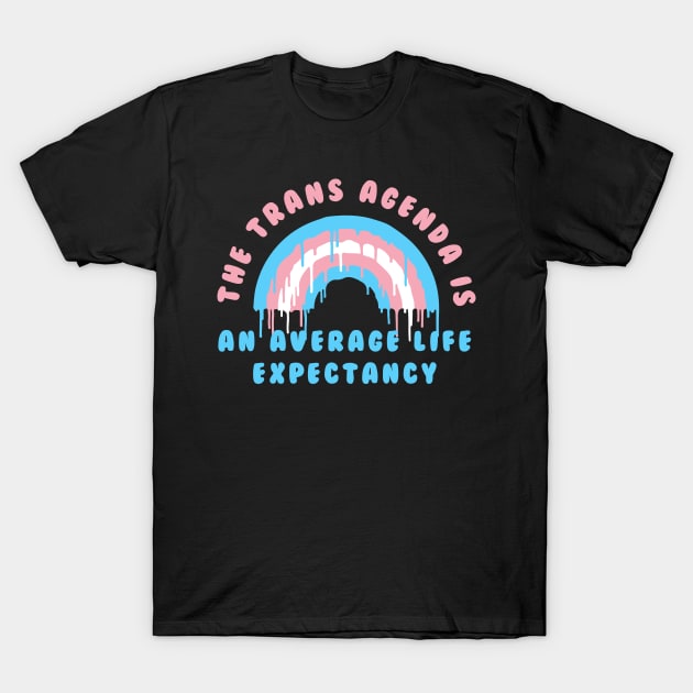 the trans agenda T-Shirt by remerasnerds